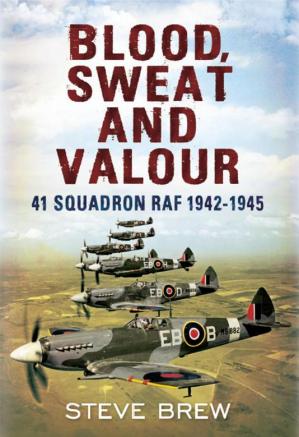 Book blood sweat and valour steve brew