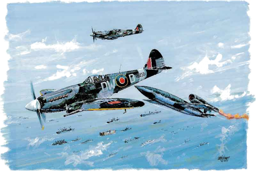 Spitfire mk xiv dw d squadron leader richard newbery