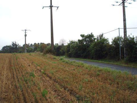 Mosquito fbvi hp866 crash site