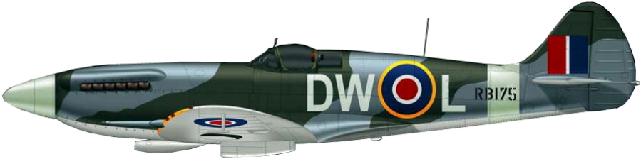 Spitfire mk 14 dw l rb175